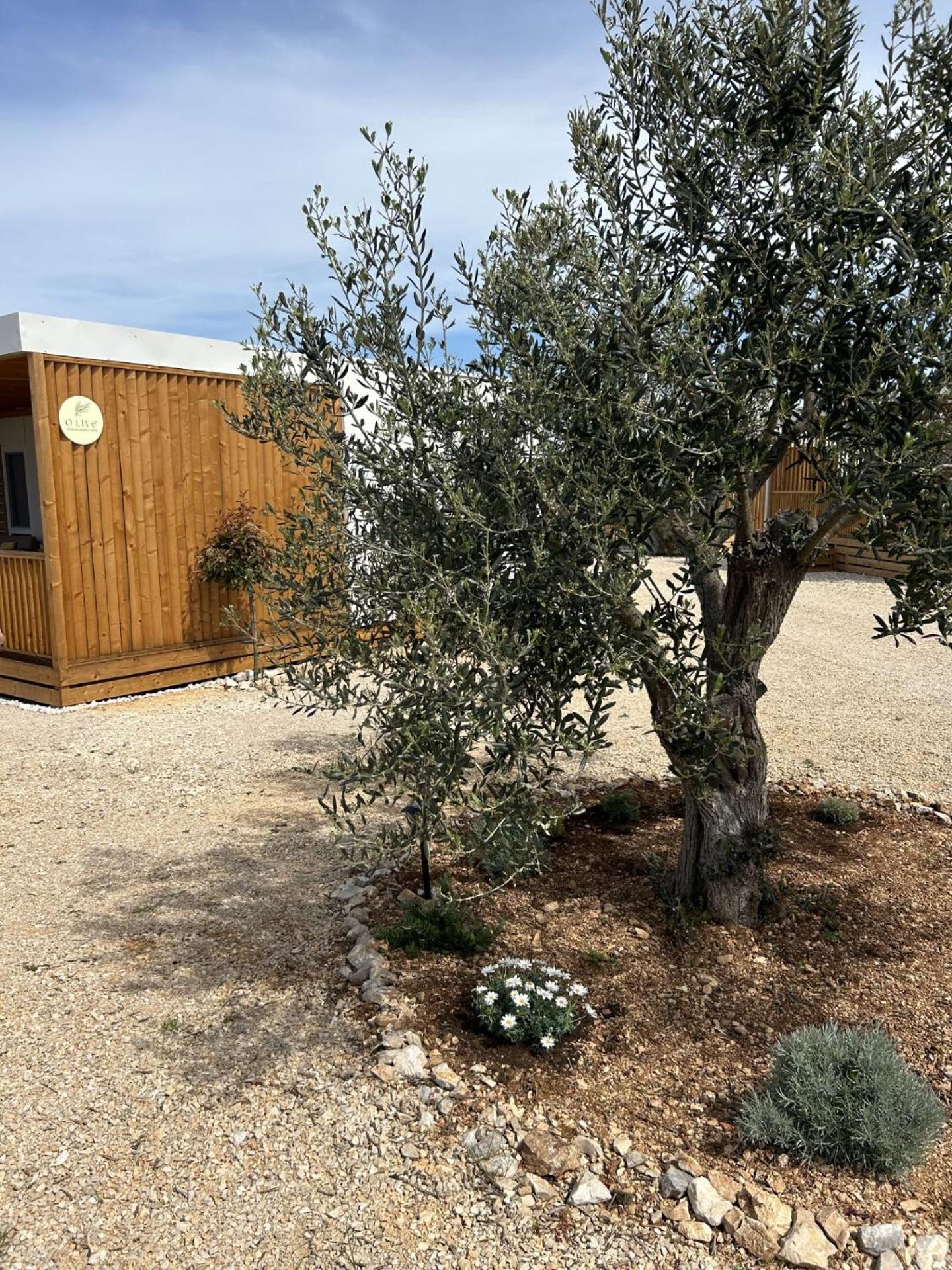 דראגה O'Live Premium Mobile Home מראה חיצוני תמונה