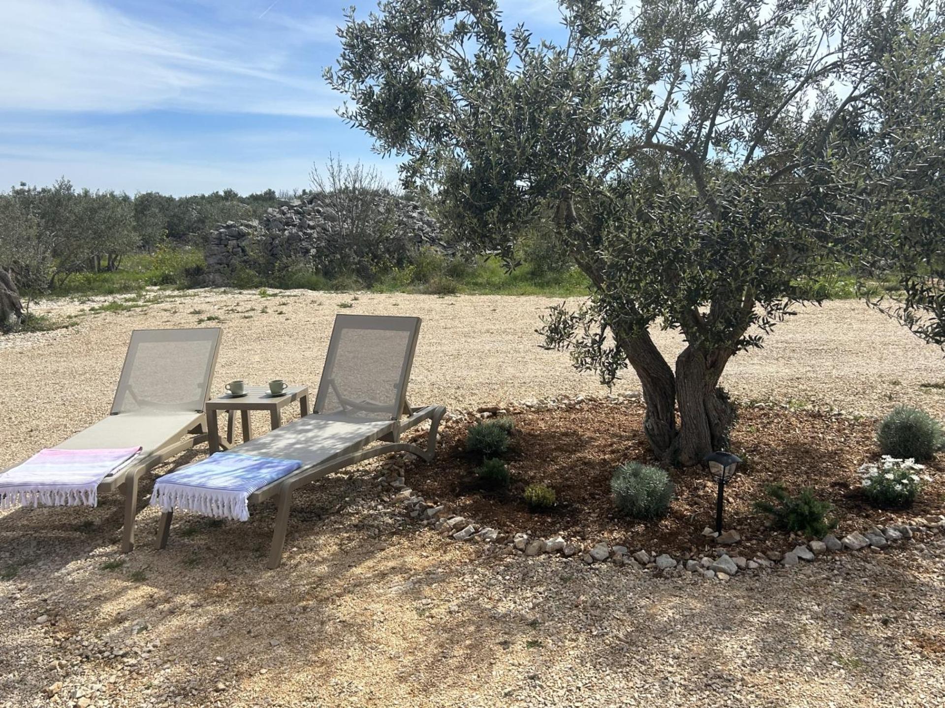 דראגה O'Live Premium Mobile Home מראה חיצוני תמונה